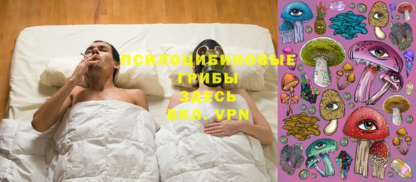 мескалин Осташков