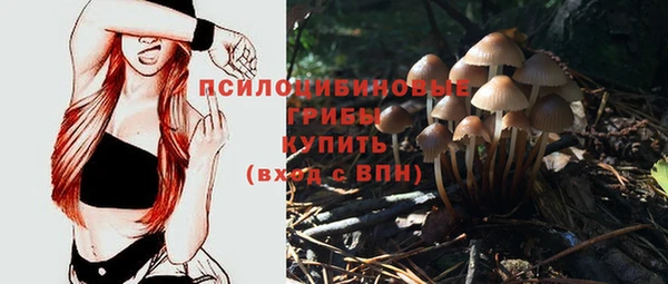 мескалин Осташков