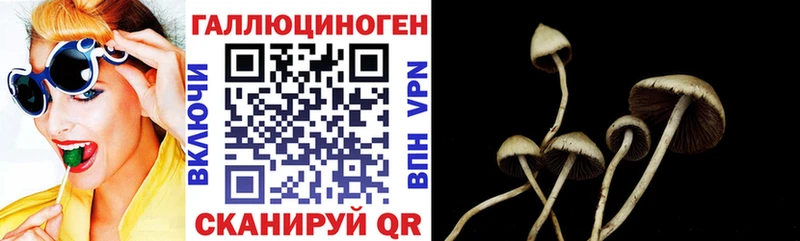 Галлюциногенные грибы Psilocybine cubensis  гидра как зайти  Кувшиново 